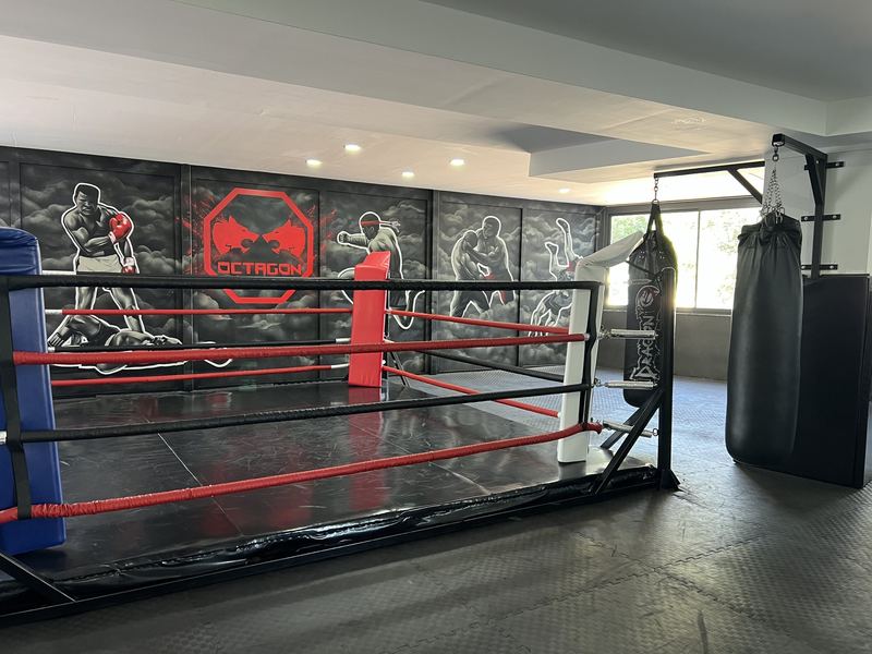 Boks ringi ve duvardaki Octagon freski, gün ışığında